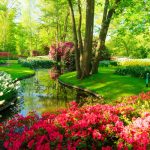 Pelouse parfaite au printemps