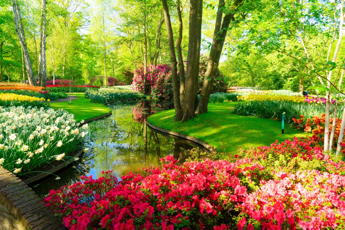Pelouse parfaite au printemps