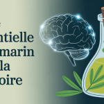 Illustration huile essentielle romarin et cerveau lumineux